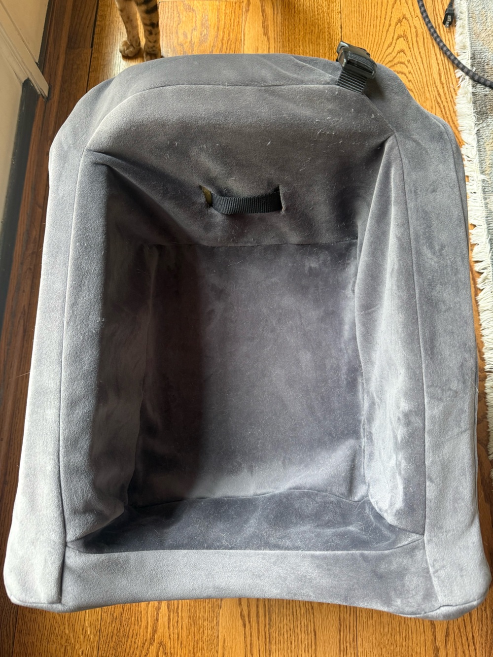 Animals Matter charcoal grey standard companion pet dog carrier Bag classic seat
